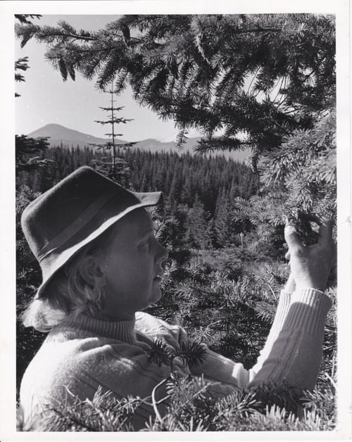 Silvaseed Historical Photo - Woman and tree